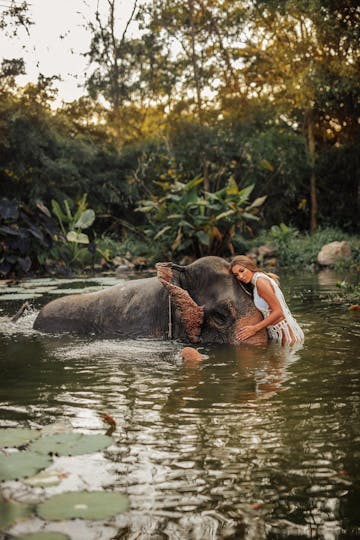 Pattaya Elephant Village Tickets + Mongchang Cafe
