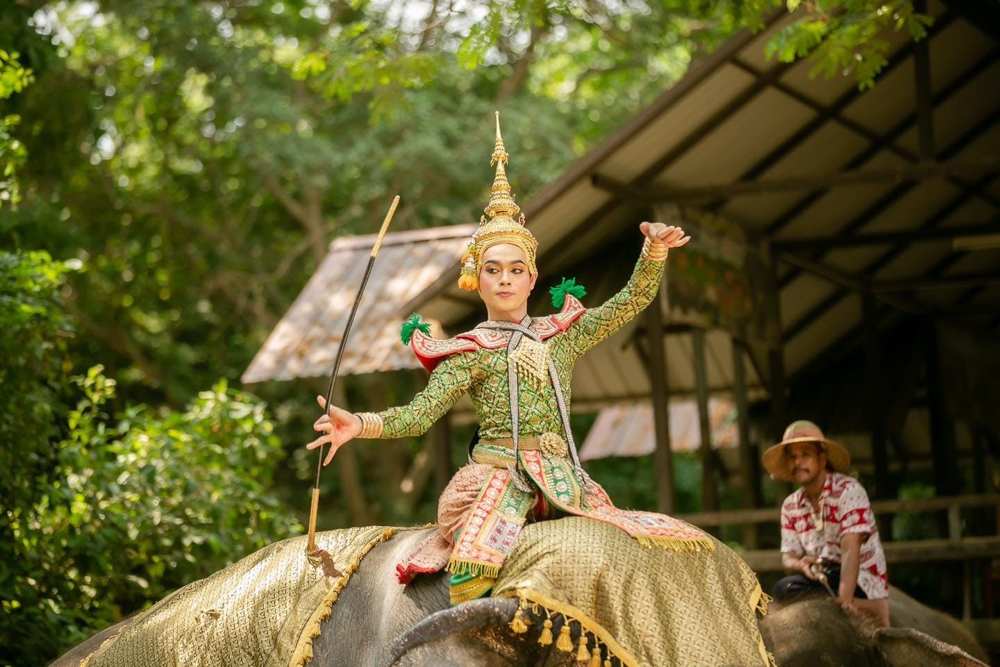 Pattaya Elephant Village & Mongchang Cafe Half Day Tour Thrillark