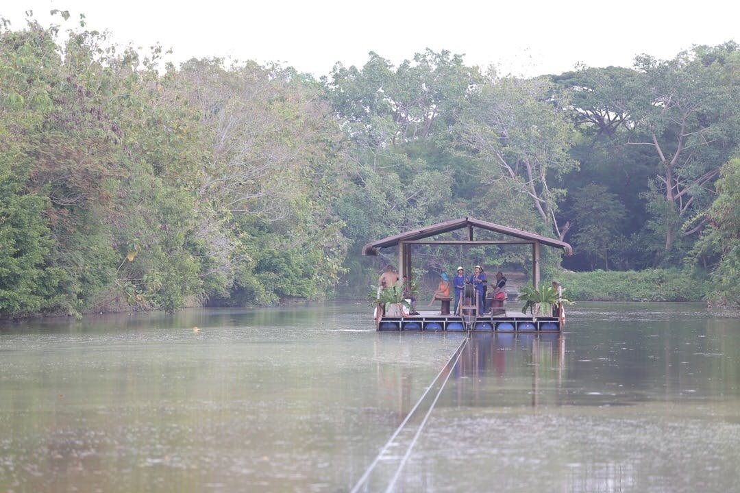 Pattaya Elephant Village & Mong Chang Cafe Half-Day Tour Thrillark