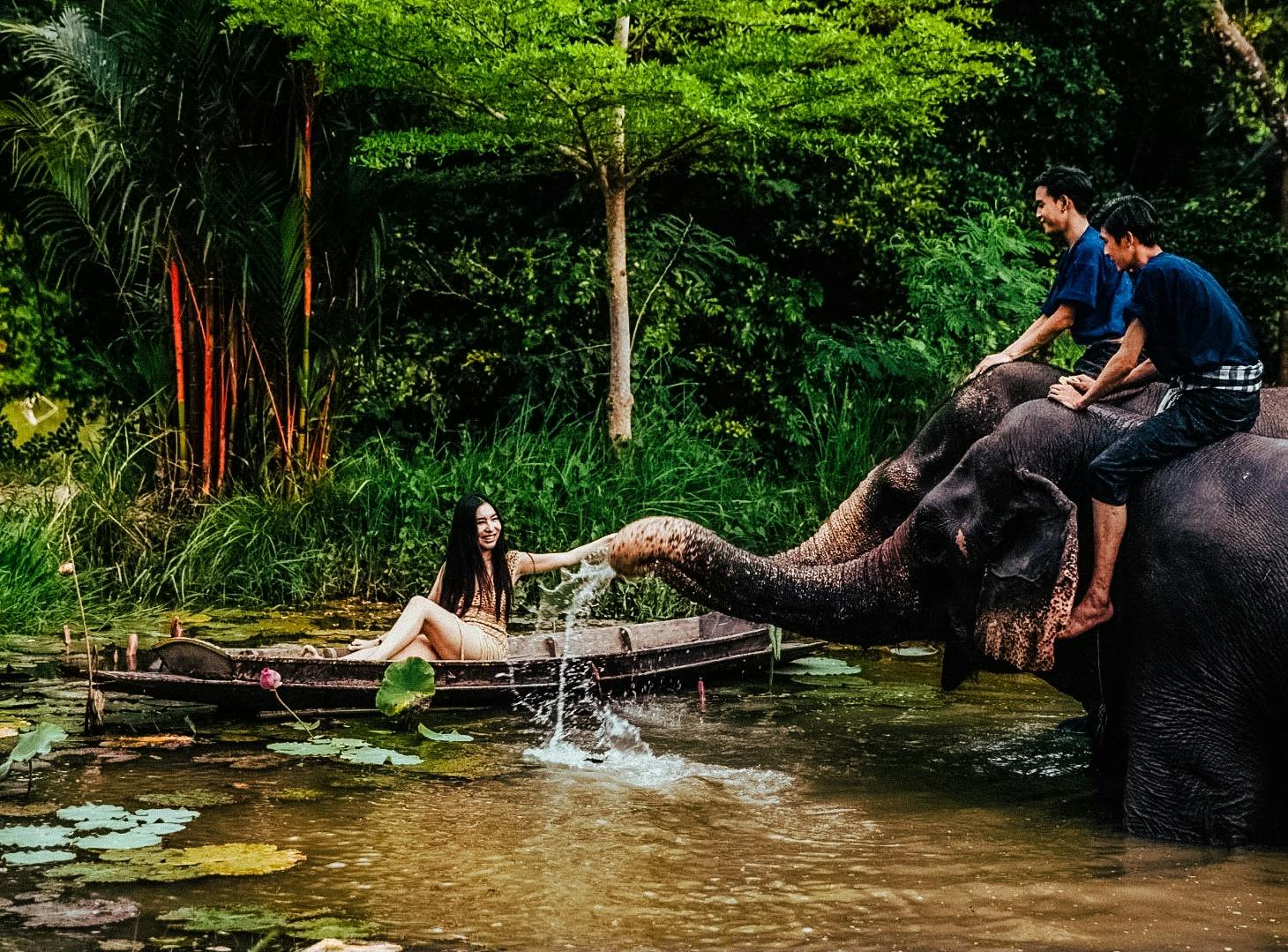 Pattaya Elephant Village & Mong Chang Cafe Half-Day Tour 