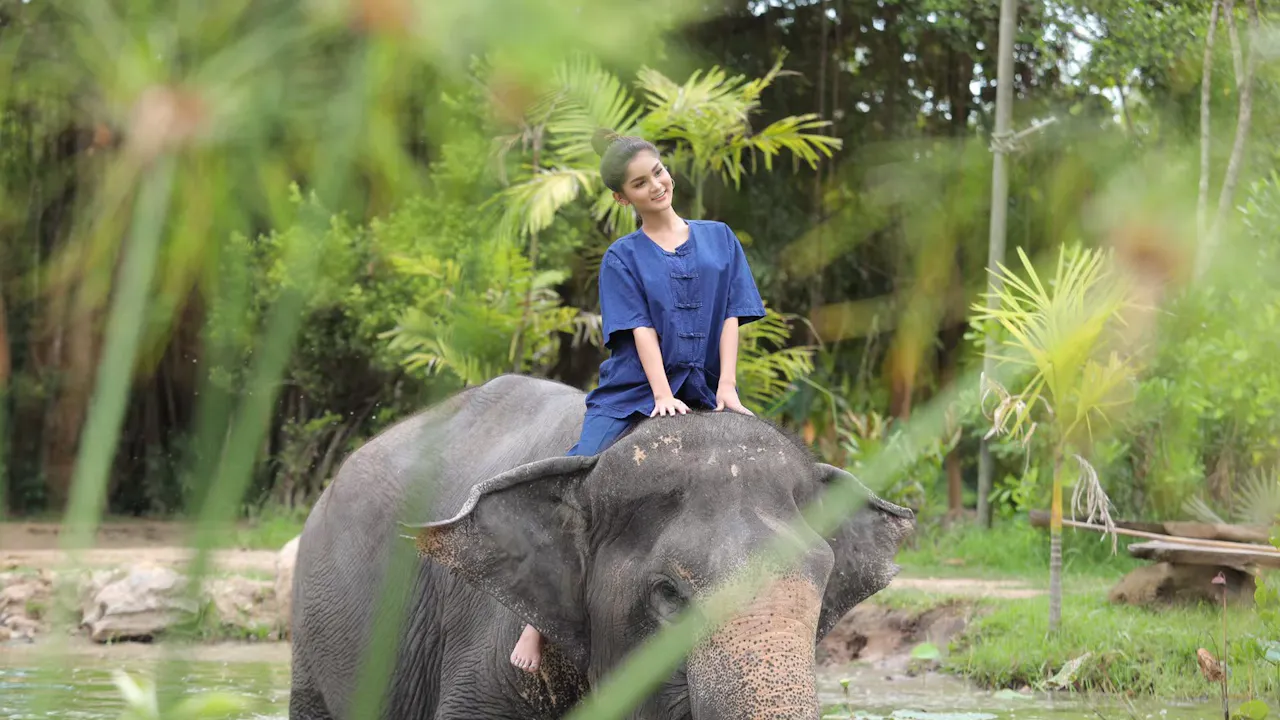 Pattaya Elephant Village & Mongchang Cafe Half Day Tour