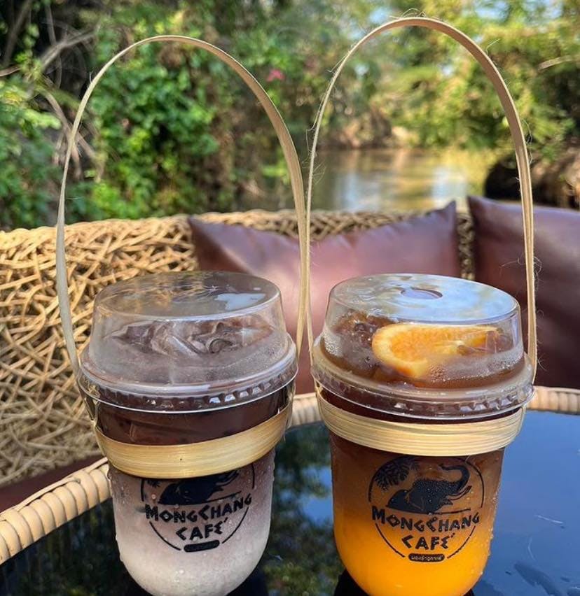 Pattaya Elephant Village & Mong Chang Cafe Half-Day Tour Discount