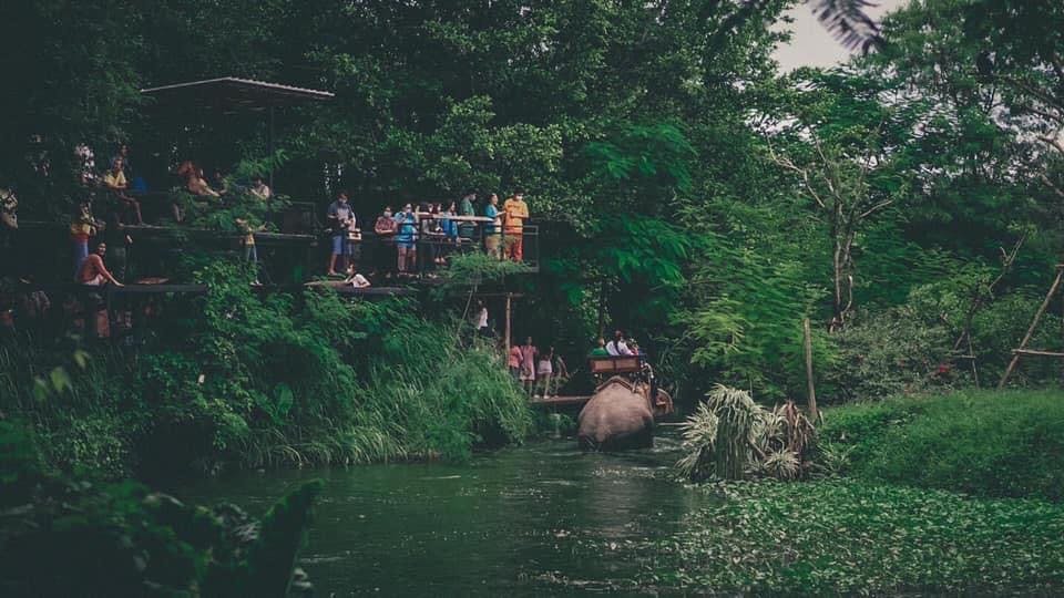 Pattaya Elephant Village & Mong Chang Cafe Half-Day Tour