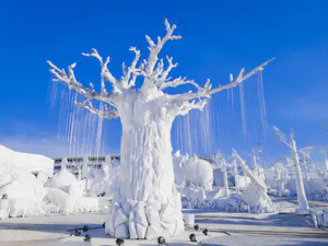 Frost Magical Ice of Siam Ticket with Free Soft Drink