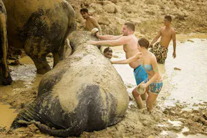 Elephant Jungle Sanctuary Tickets Pattaya