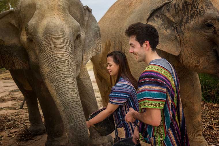 Elephant Jungle Sanctuary Tickets, Pattaya Discount