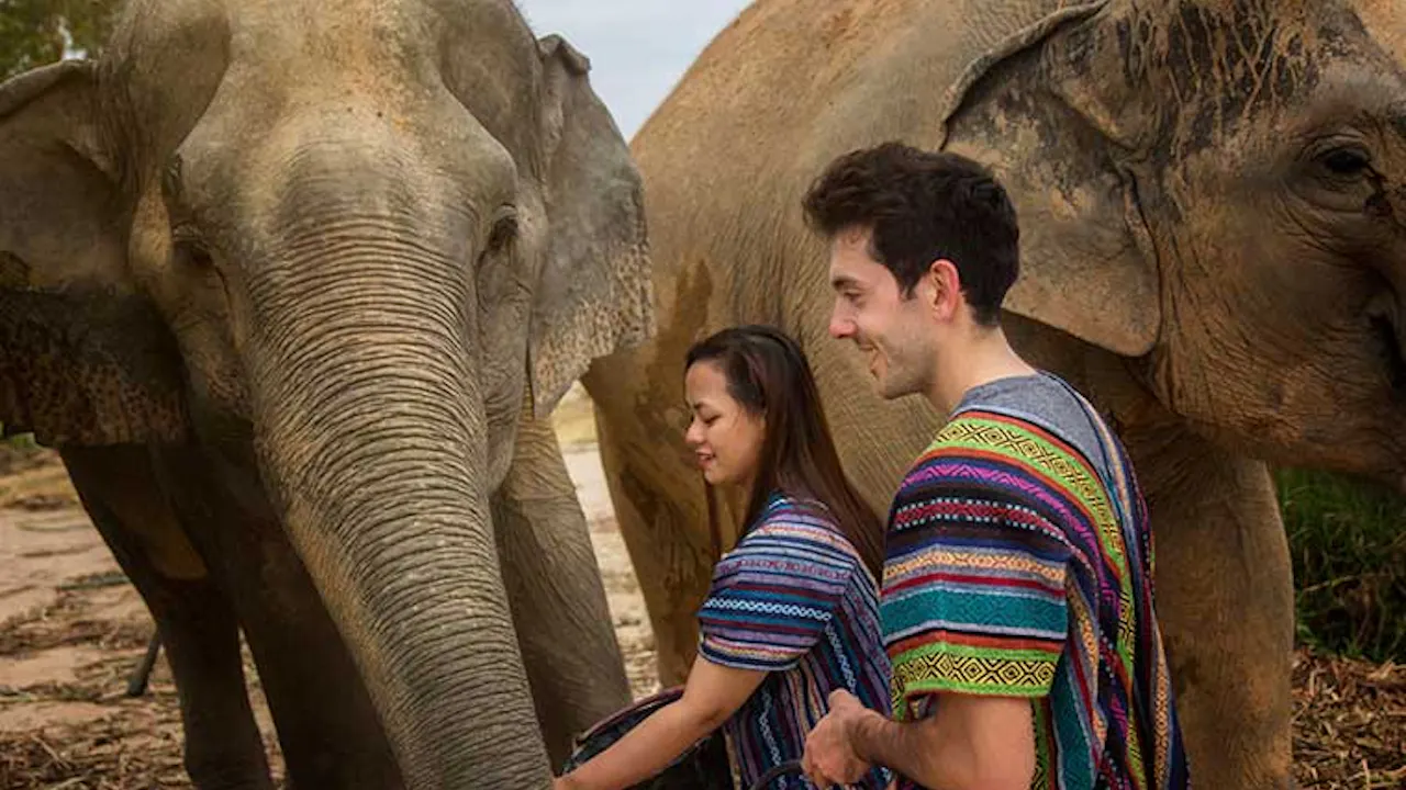 Elephant Jungle Sanctuary Tickets, Pattaya Discount
