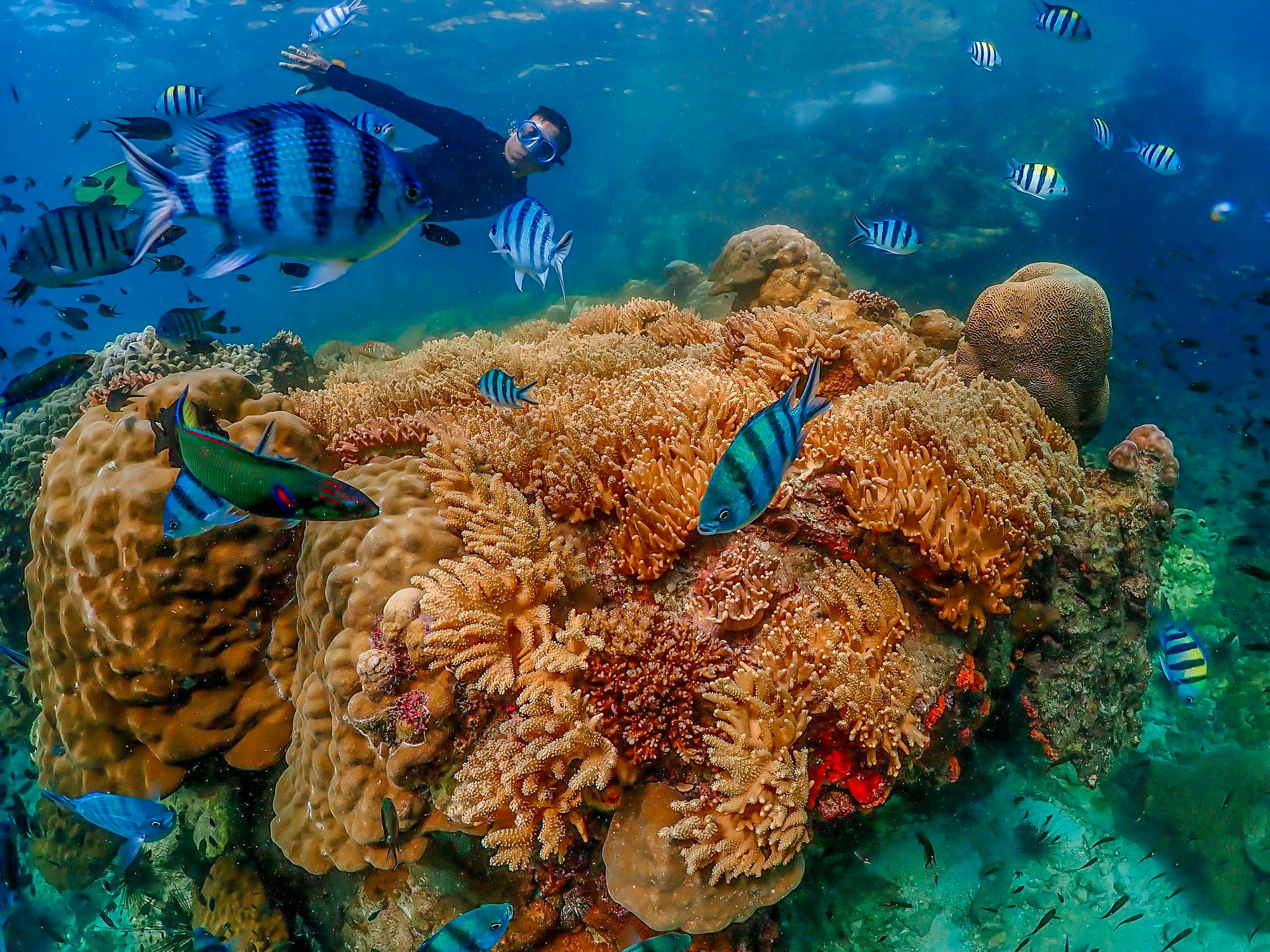 Koh Larn Island Day Trip with Beach Activities & Drone Photos Ticket