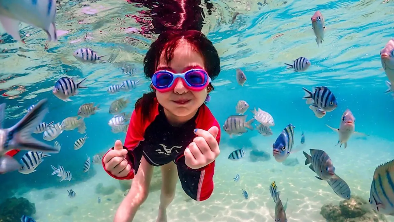 Koh Larn Island Day Trip with Beach Activities & Drone Photos Discount