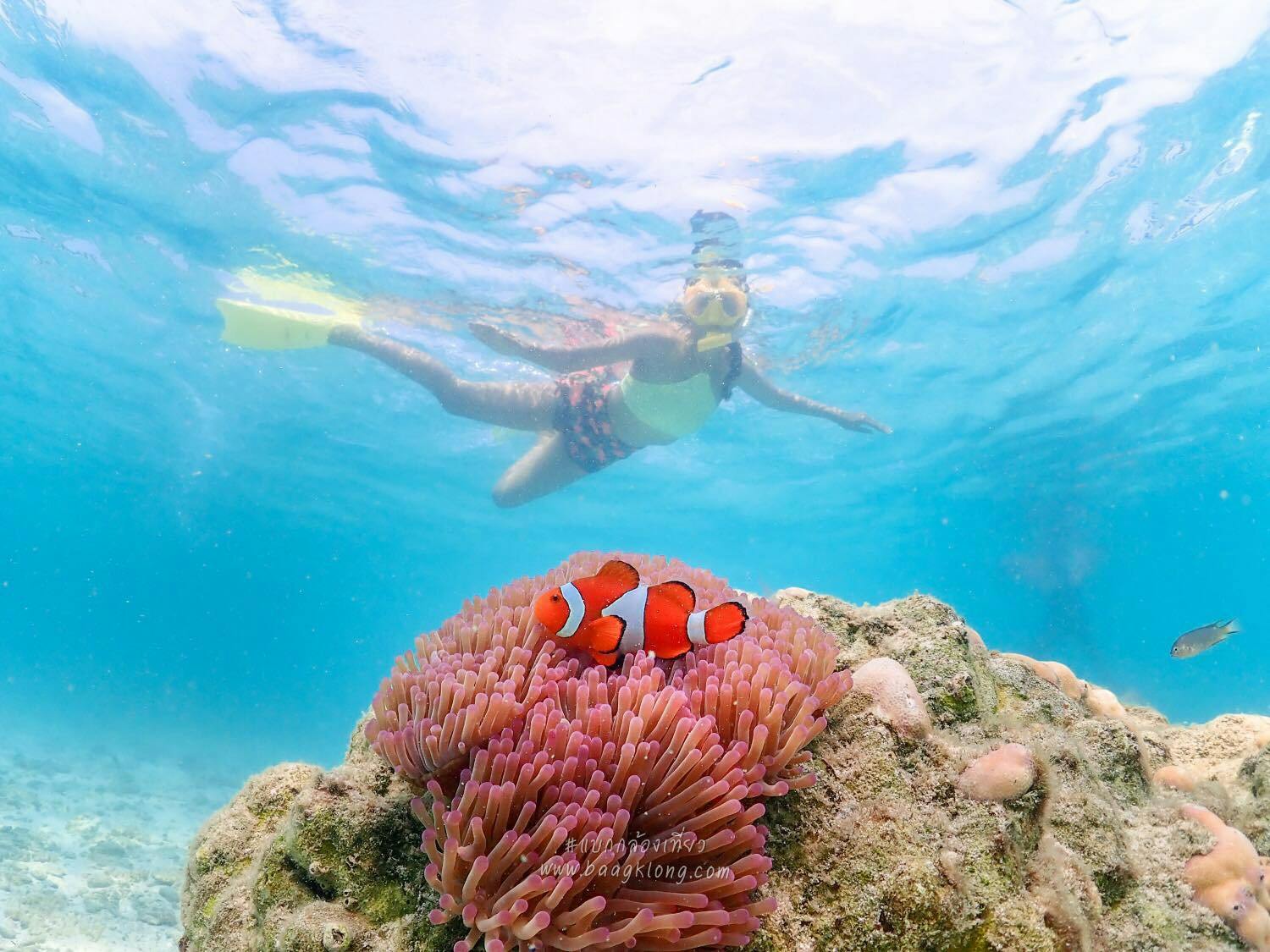 Koh Larn Island Day Trip with Beach Activities & Drone Photos Review