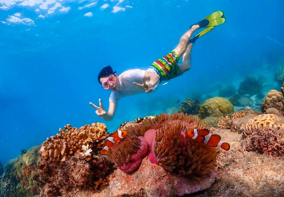 Koh Larn Island Day Trip with Beach Activities & Drone Photos Price