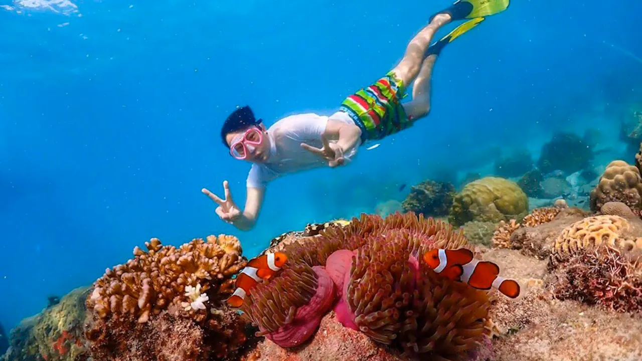 Koh Larn Island Day Trip with Beach Activities & Drone Photos Price