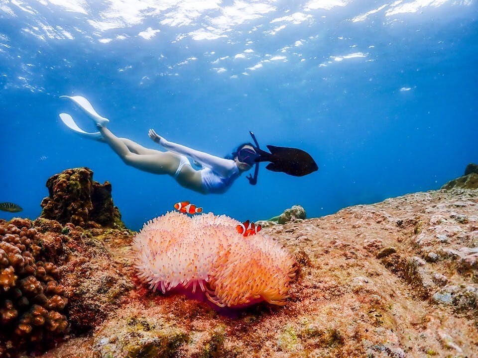 Koh Larn Island Day Trip with Beach Activities & Drone Photos Category