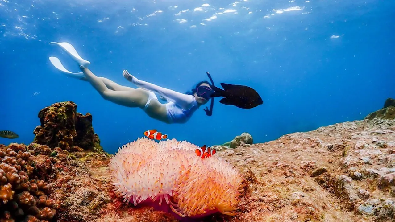 Koh Larn Island Day Trip with Beach Activities & Drone Photos Category