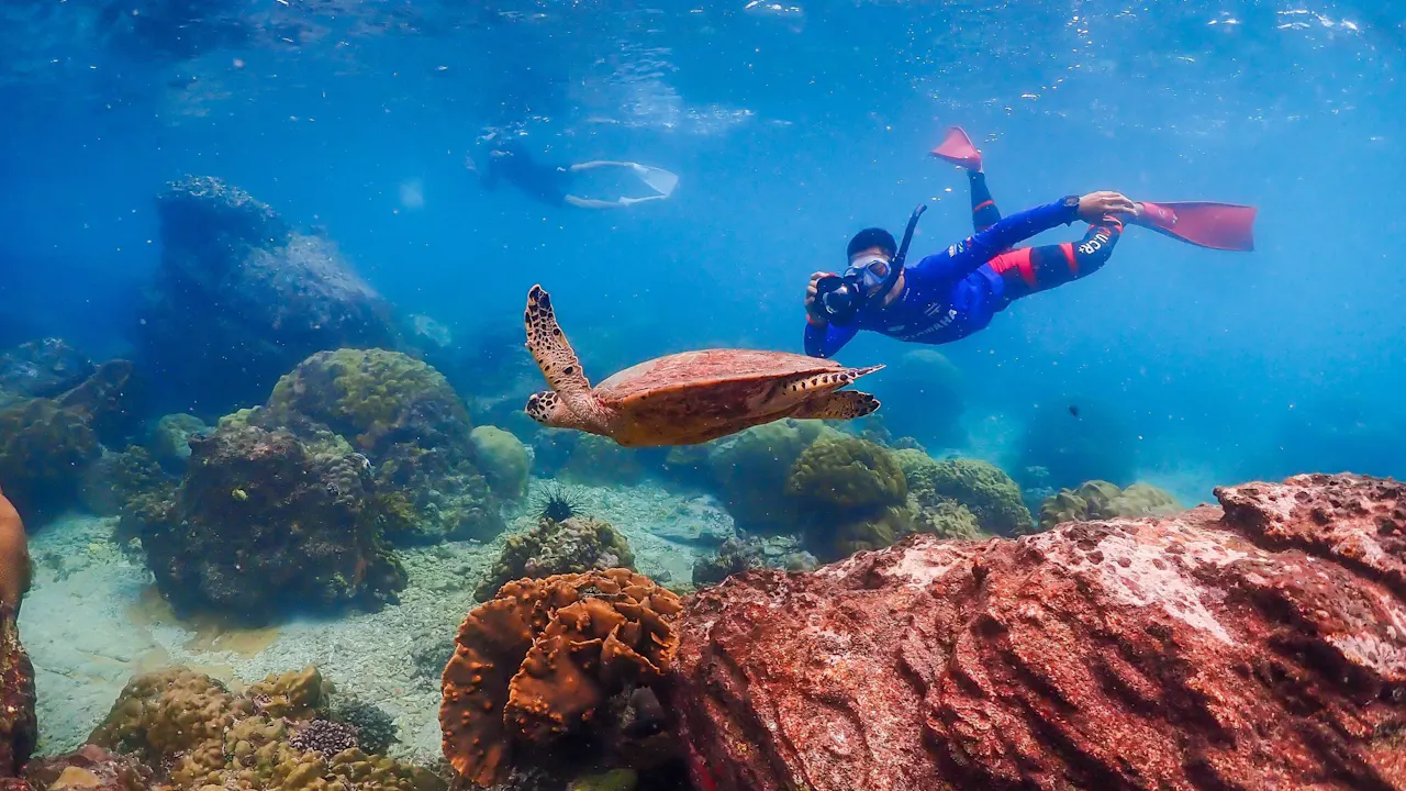 Koh Larn Island Day Trip with Beach Activities & Drone Photos Location