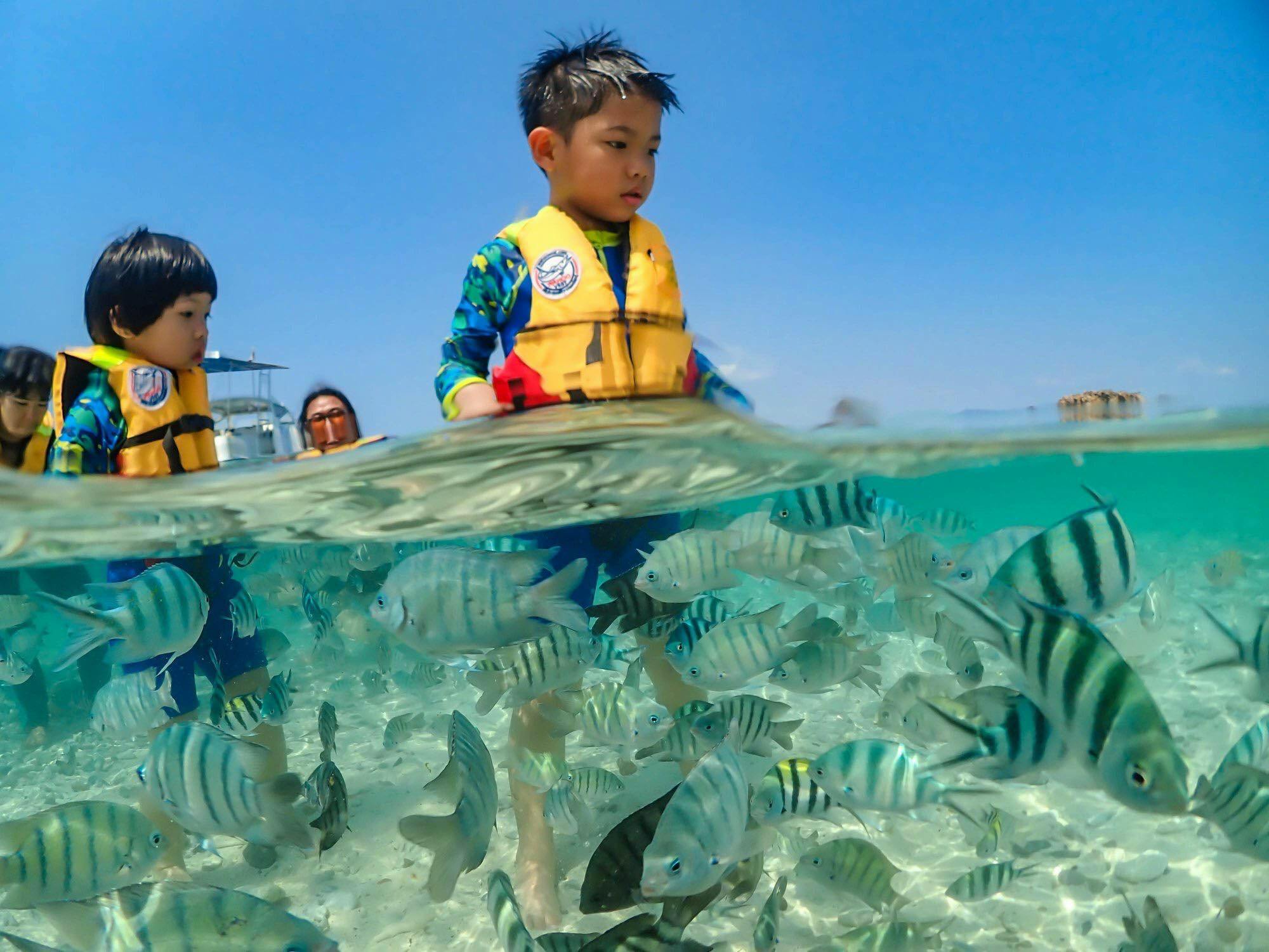 Koh Larn Island Day Trip with Beach Activities & Drone Photos Thrillark