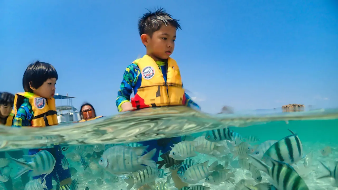 Koh Larn Island Day Trip with Beach Activities & Drone Photos Thrillark