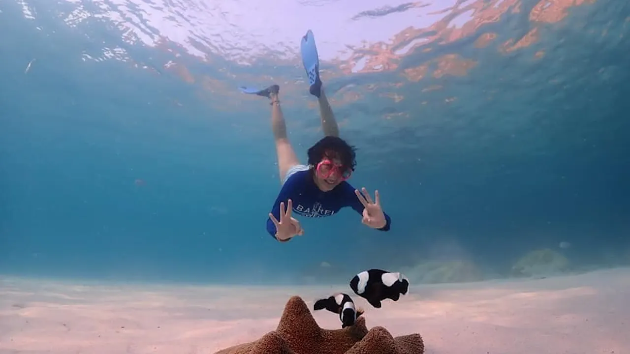 Koh Larn Island Day Trip with Beach Activities & Drone Photos