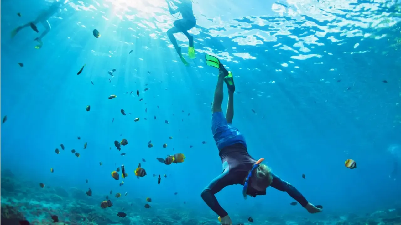 Day Trip to Pattaya City & Koh Larn Island Tour From Bangkok Category