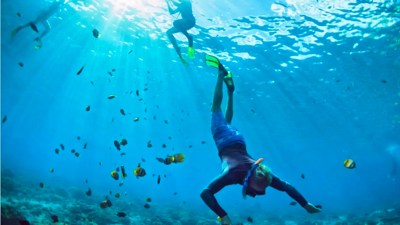 Day Trip to Pattaya City & Koh Larn Island Tour From Bangkok Category