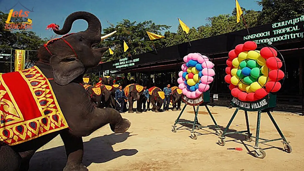 Private Day Tour In Pattaya Ticket