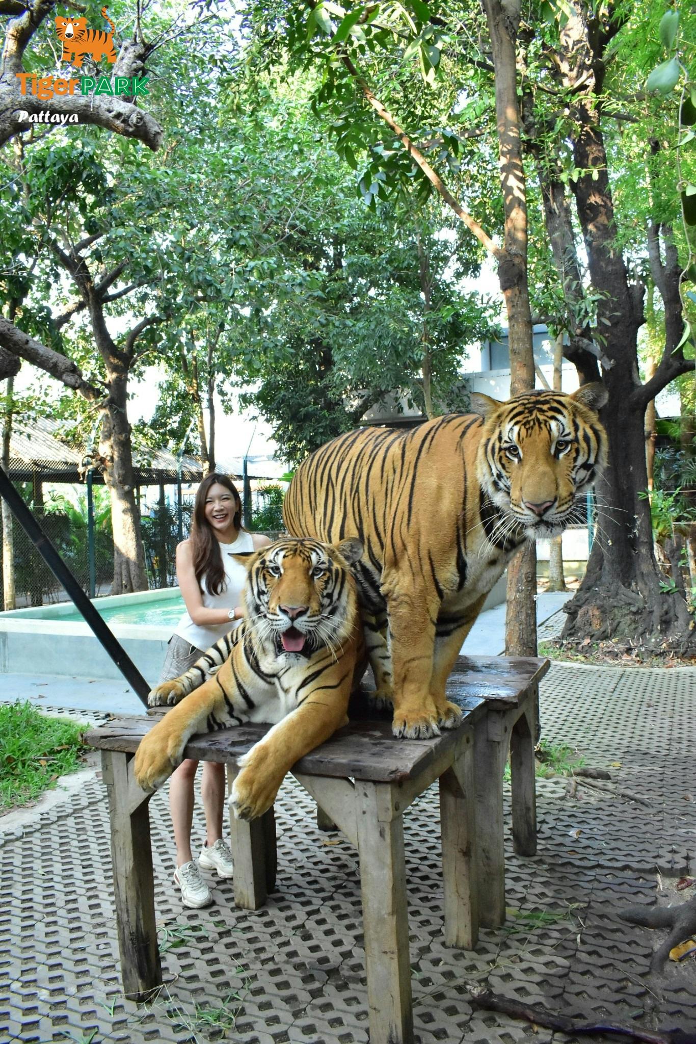 Tiger Park Pattaya Discount