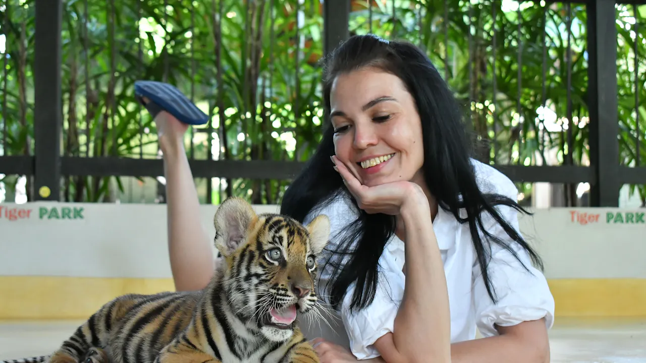 Tiger Park Pattaya Tickets Discount