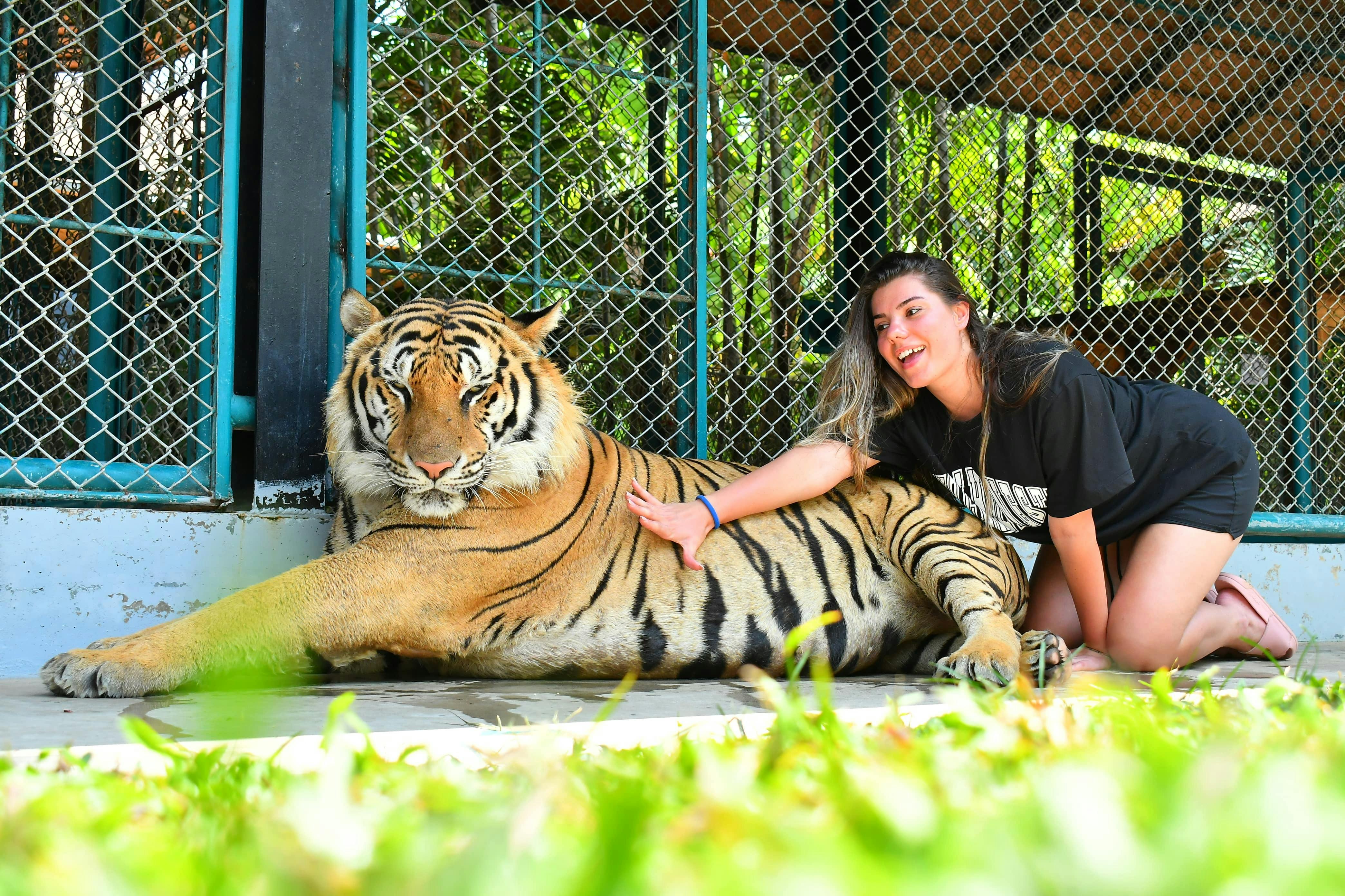 Tiger Park Pattaya Tickets