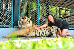 Tiger Park Pattaya Tickets