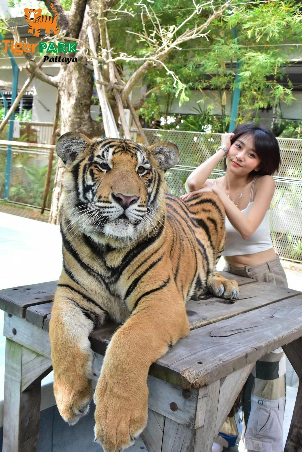 Tiger Park Pattaya Review