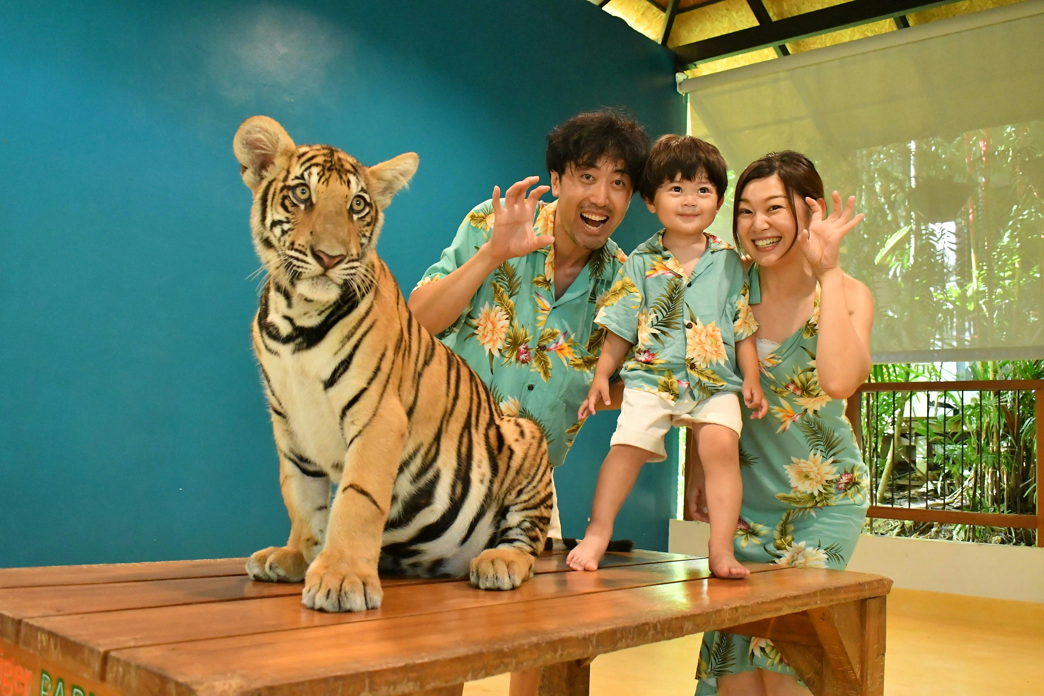 Tiger Park Pattaya Tickets Category