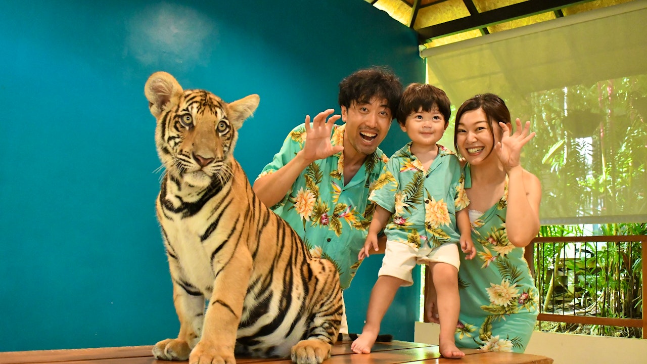 Tiger Park Pattaya Tickets Category