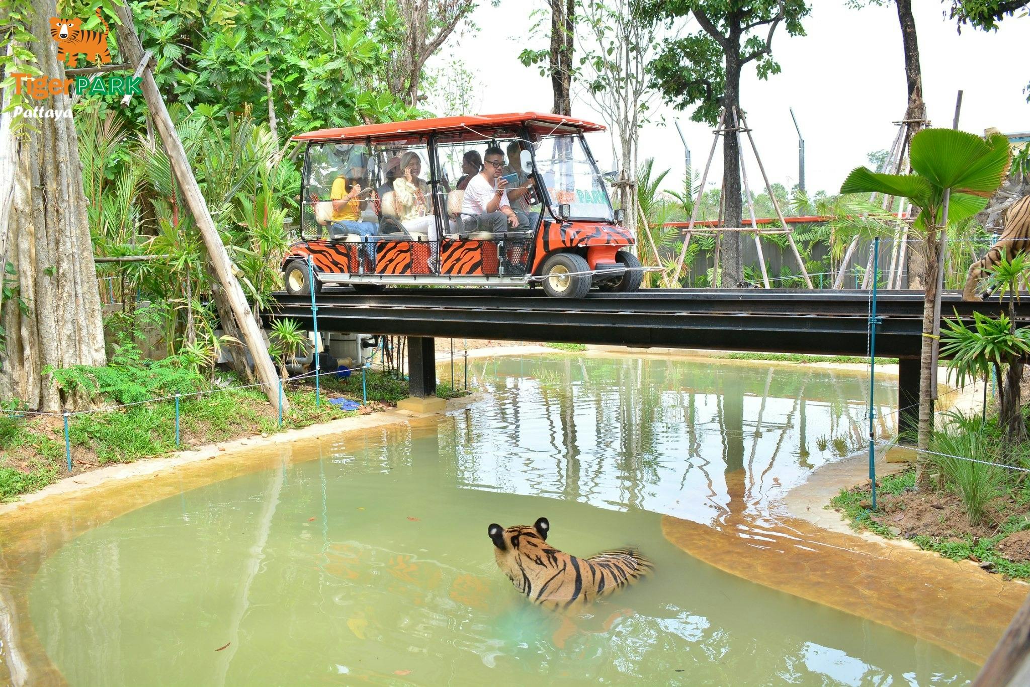 Tiger Park Pattaya