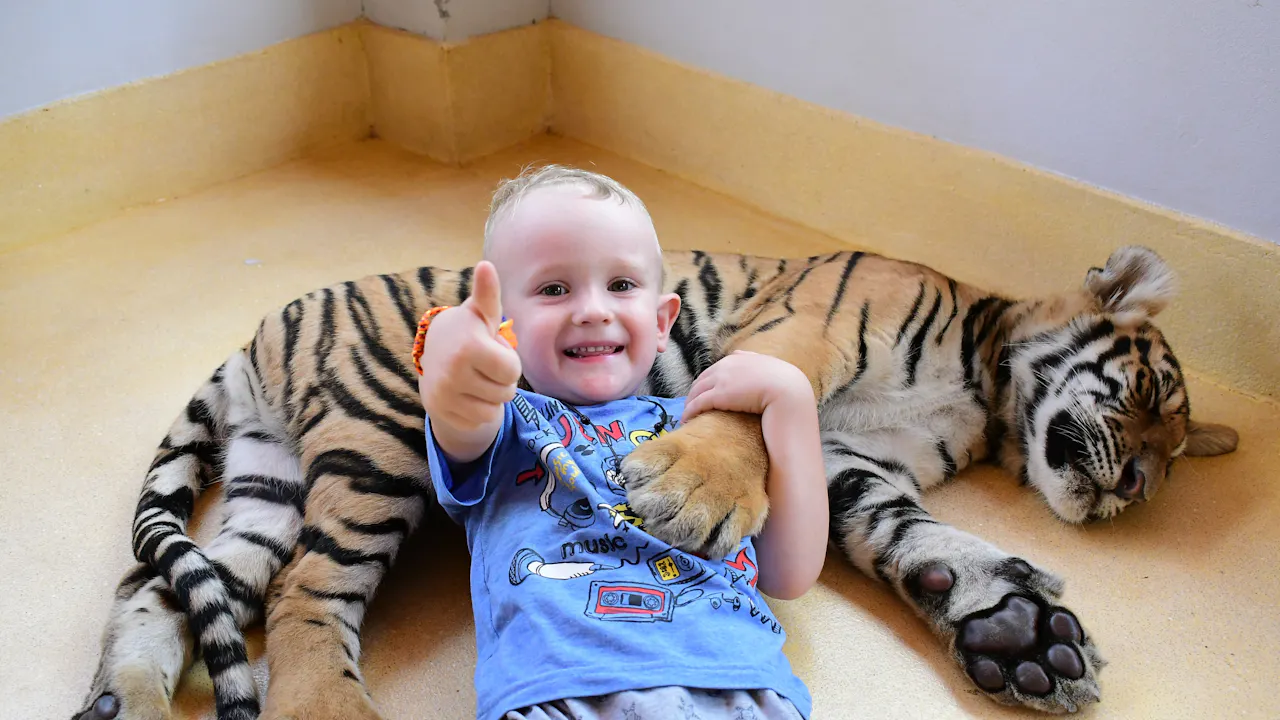 Tiger Park Pattaya Tickets