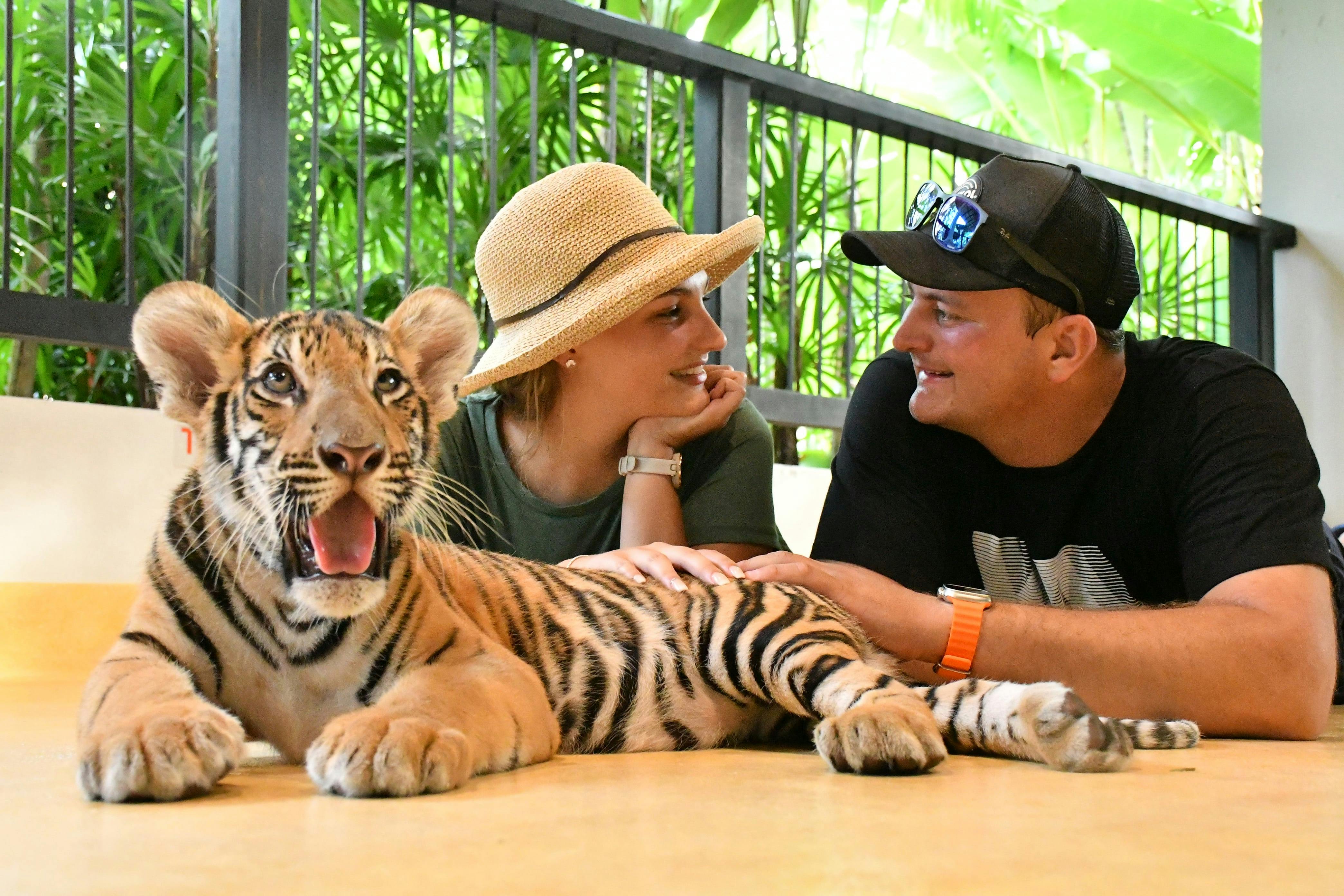 Tiger Park Pattaya Tickets 