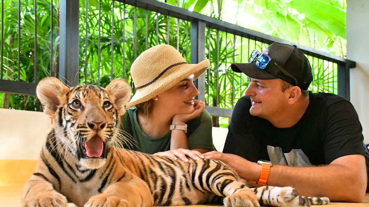 Tiger Park Pattaya Tickets