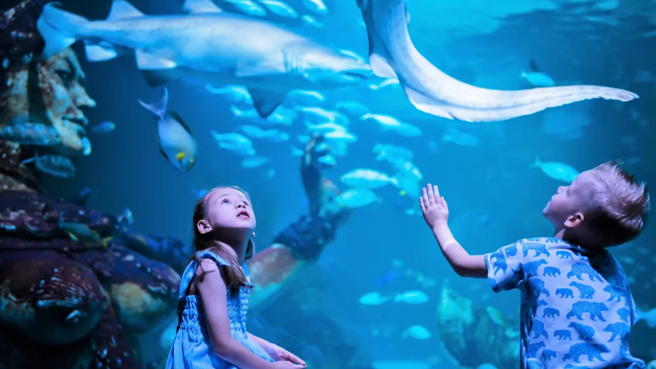 Aquaria Phuket Tickets Review