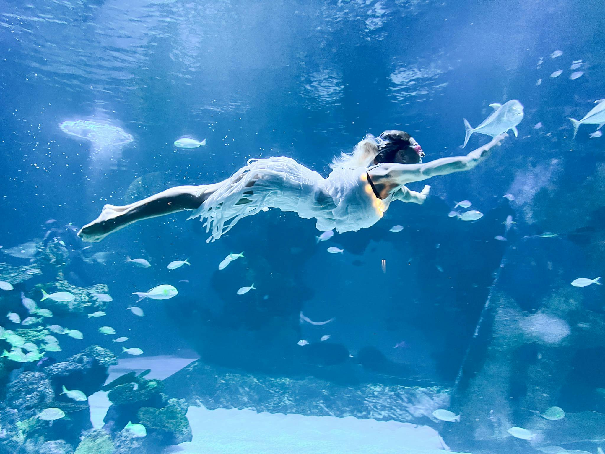 Aquaria Phuket Tickets 