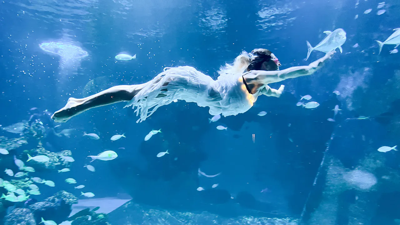 Aquaria Phuket Tickets