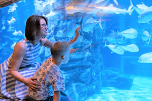 Aquaria Phuket Tickets