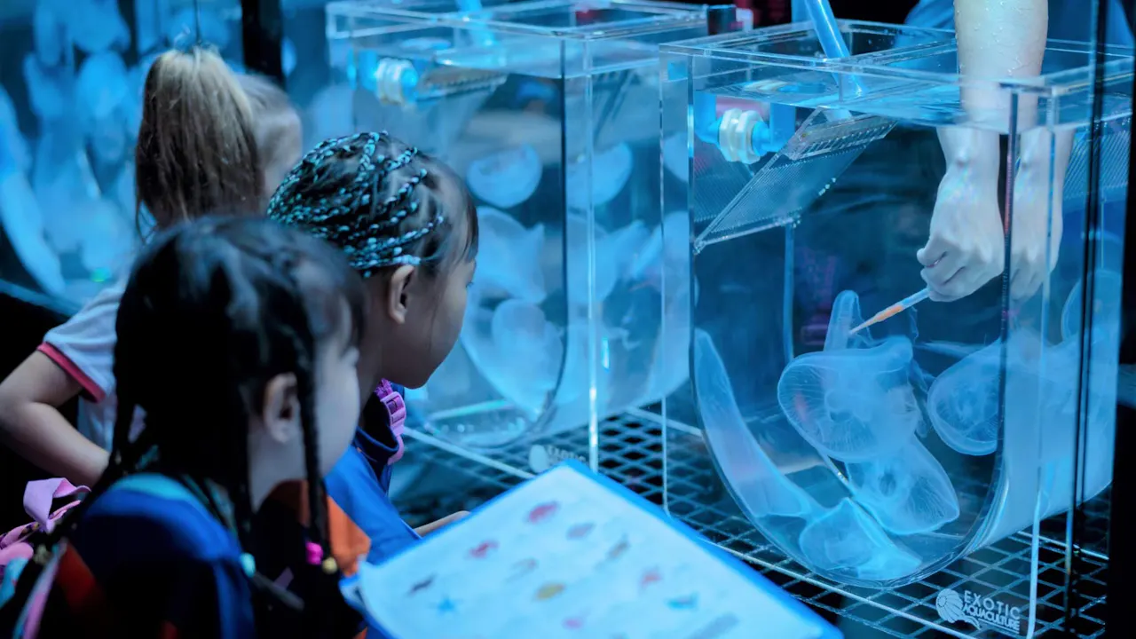 Aquaria Phuket Tickets