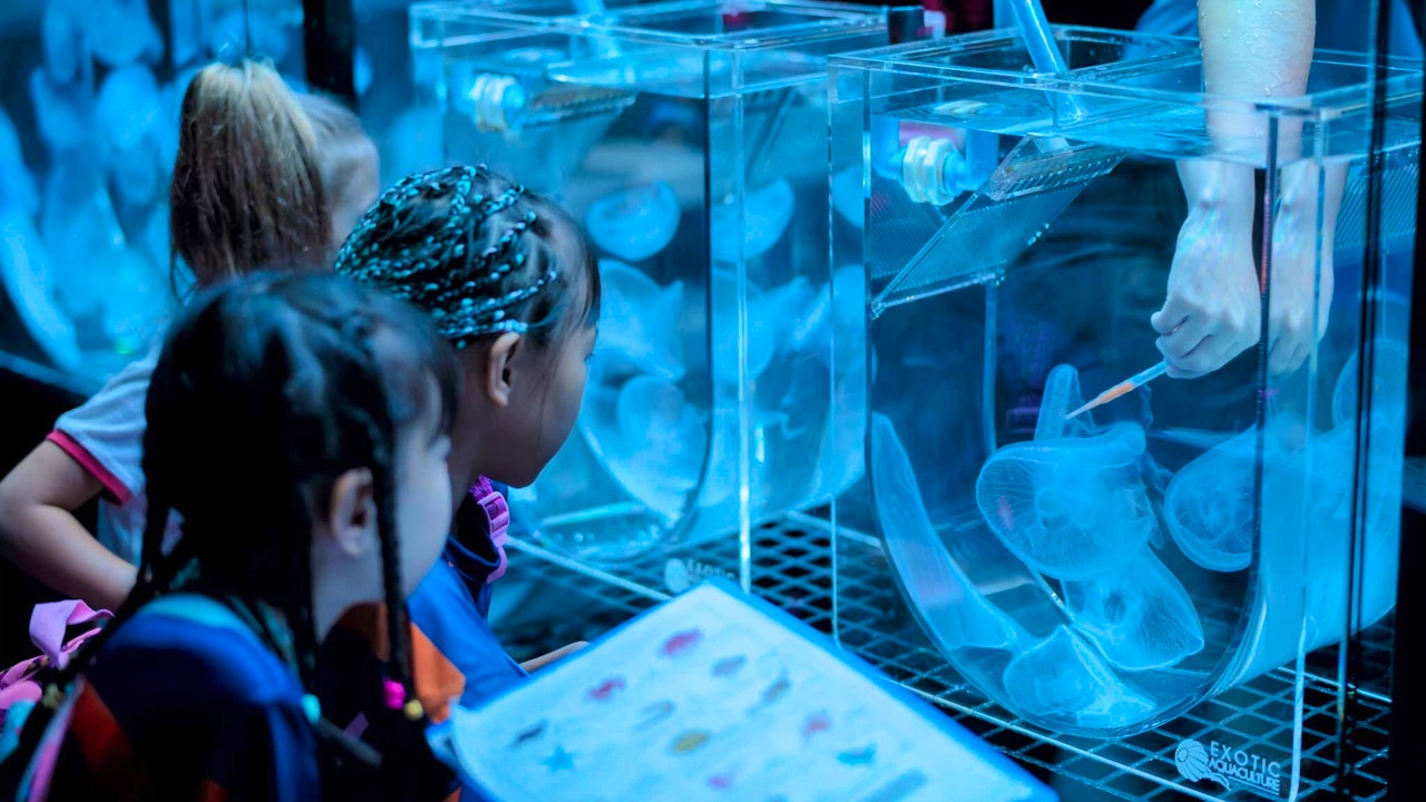Aquaria Phuket Tickets