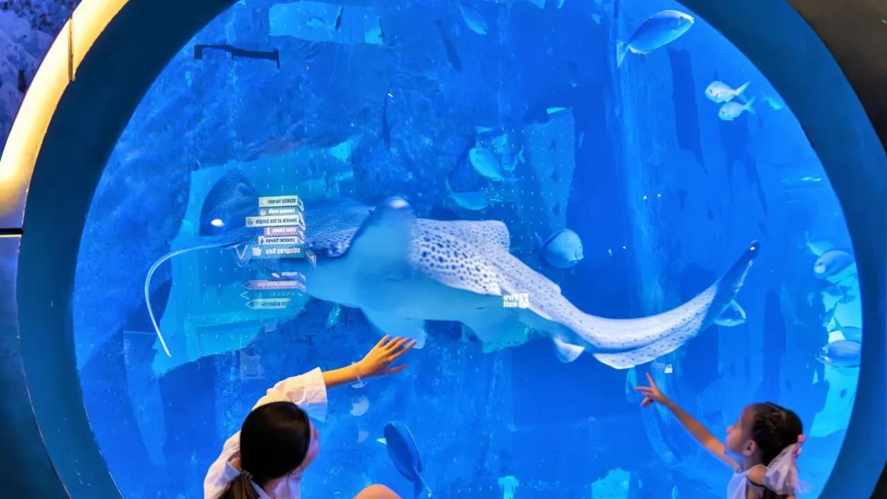 Aquaria Phuket Category