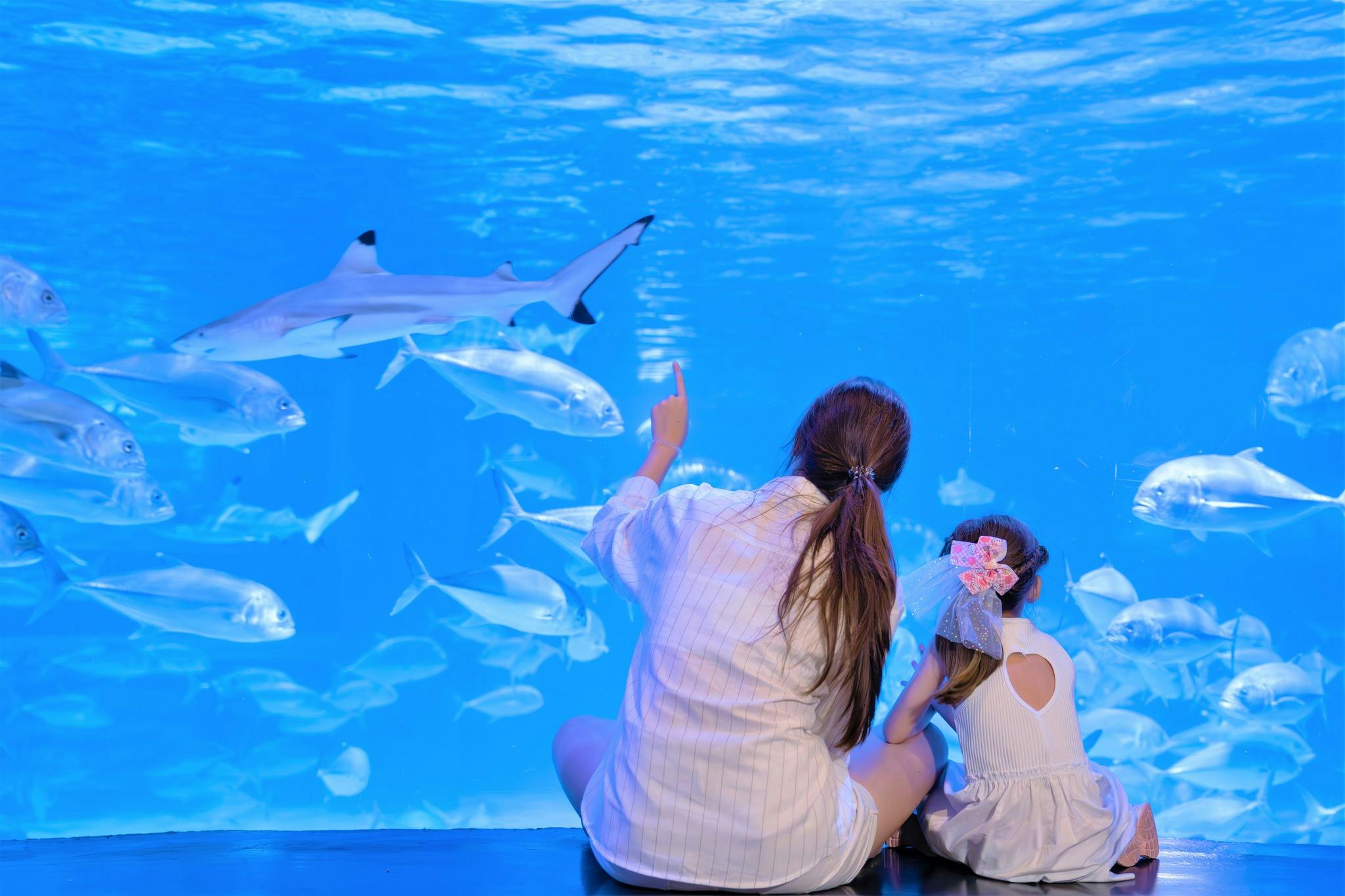 Aquaria Phuket  Thrillark