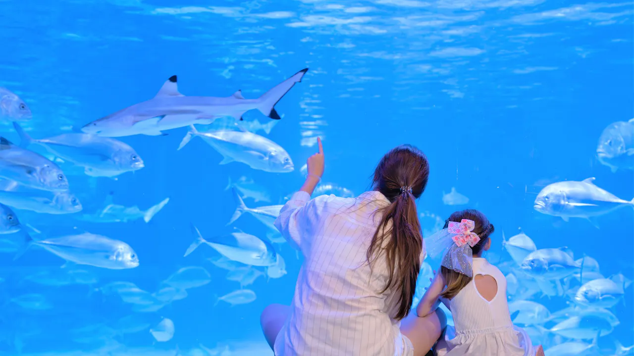 Aquaria Phuket Thrillark