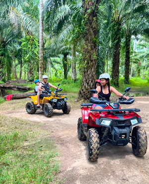 Elephant Care Experience with Rafting