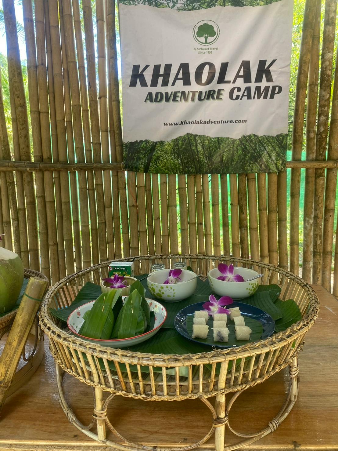 Elephant Care Experience with Rafting Thrillark