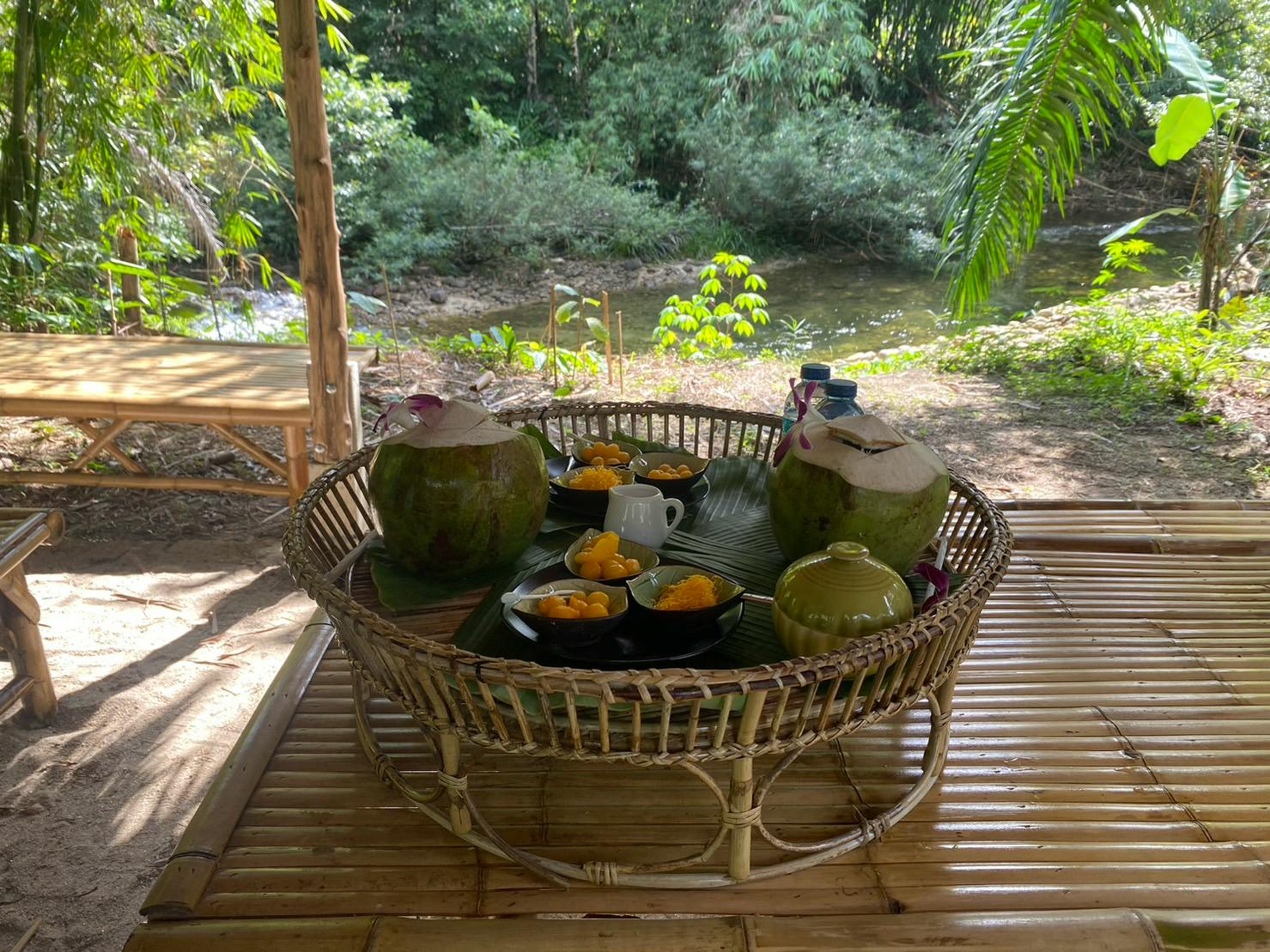 Elephant Care Experience with Rafting Category