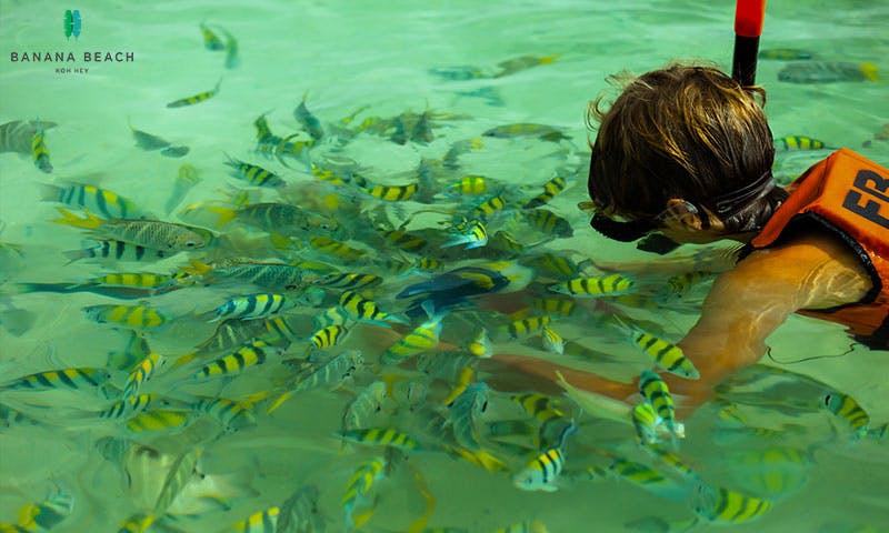 Banana Beach at Koh Hey Speedboat Day Trip 