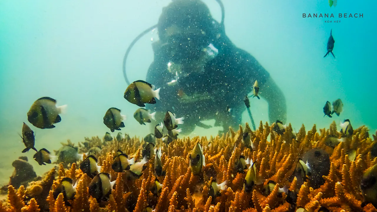 Banana Beach at Koh Hey Speedboat Day Trip